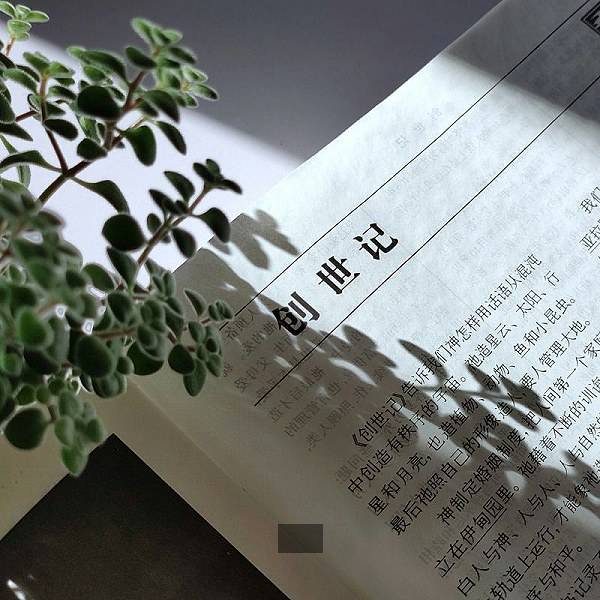 火箭霍华德vs热火詹姆斯